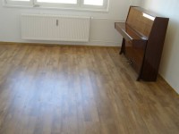 /album/laminatove-podlahy/laminat26-jpg/